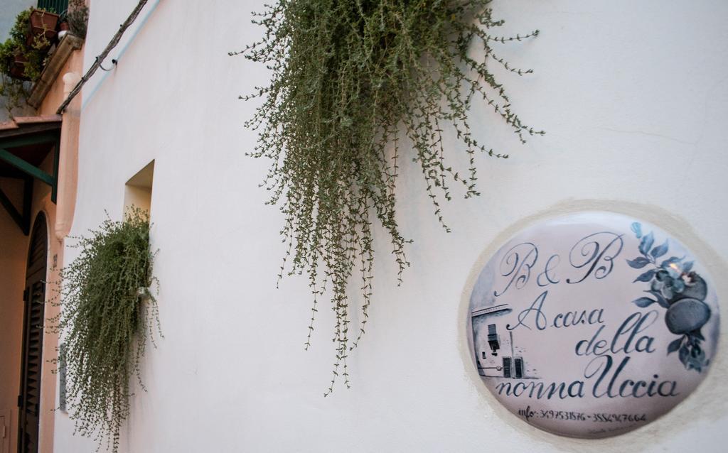 B&B A Casa Della Nonna Uccia Nardò Екстериор снимка